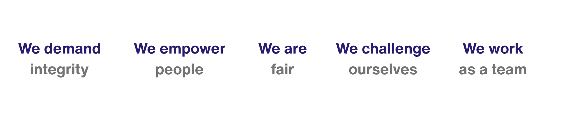 5 guiding principles